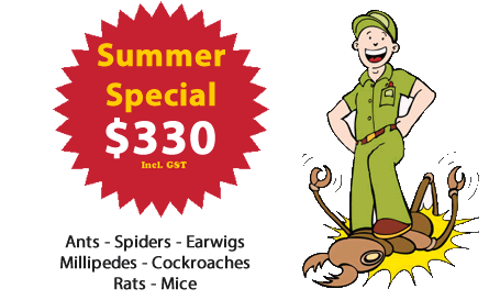 Specials - Pest Control Melbourne Northern & Western Suburbs